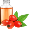 Rosehip Oil