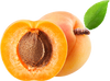 Apricot Kernel Oil